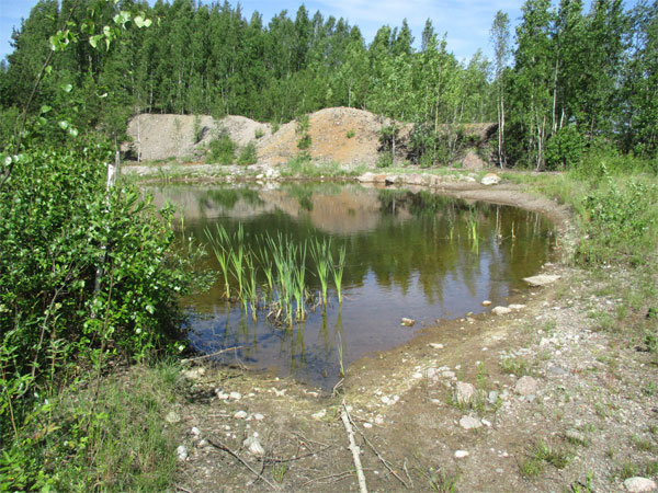 Ruduksen LUMO-ohjelma tuottaa tulosta Porvoon Kråkössä, jossa luonnon monimuotoisuus on lisääntynyt selvästi. Esimerkiksi uhanalaiset viitasammakot ovat kuteneet niille varta vasten rakennettuihin lammikoihin.